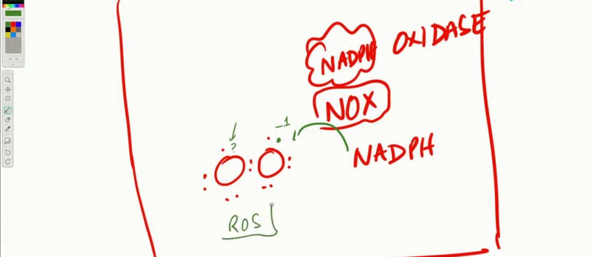 COVID-19 Insights: Hypercoagulability Role of the ACE2 Enzyme - Part 1