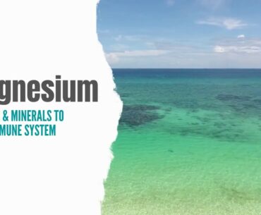 Magnesium - Vitamins & Minerals To Boost Immune System