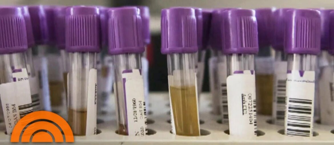 Could Blood Plasma of Coronavirus Survivors Be the Key to a Vaccine? | TODAY