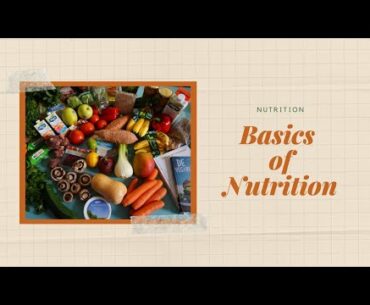 Nutrition | Basics of Nutrition | Nutrition Basics 01