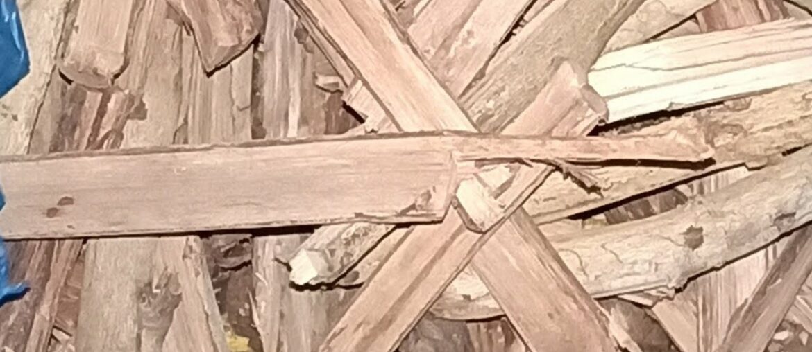 Use this to boost your immune system to avoid Covid 19