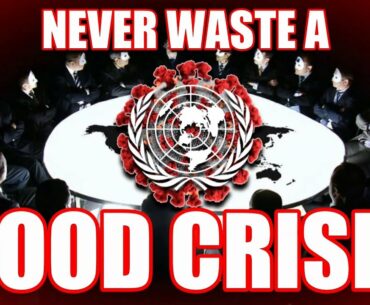 NEVER waste a GOOD CRISIS | Covid NWO Timeline | LOCKDOWN Immune system 2020