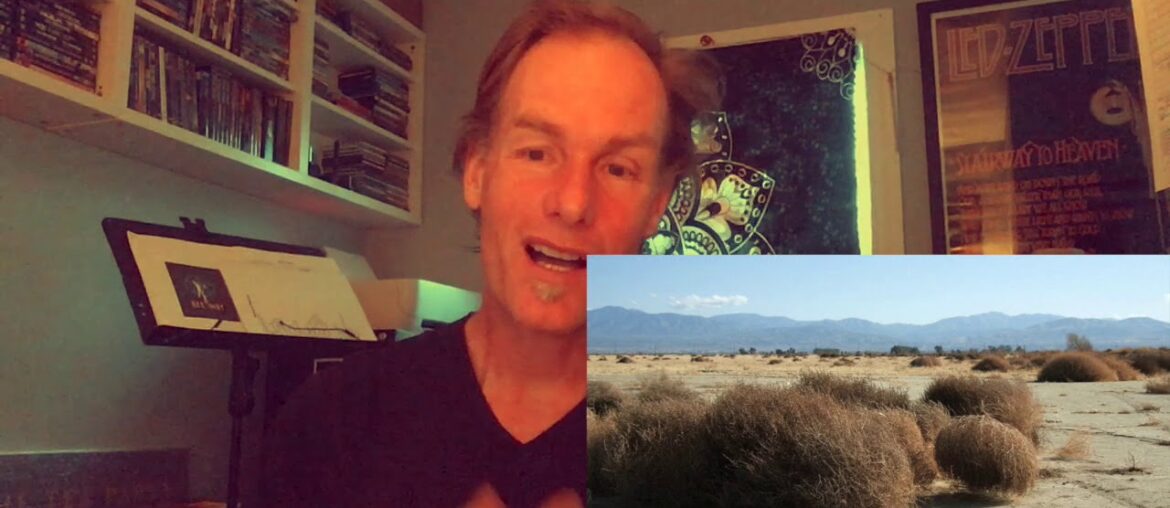 Covid19, Immunity & Your Microbiome