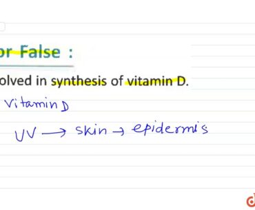 "True or False:Skin involved in synthesis of vitamin D."