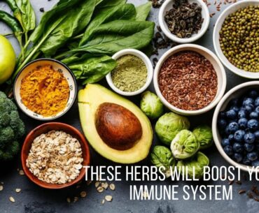 HERBS THAT BOOST THE IMMUNE  SYSTEM