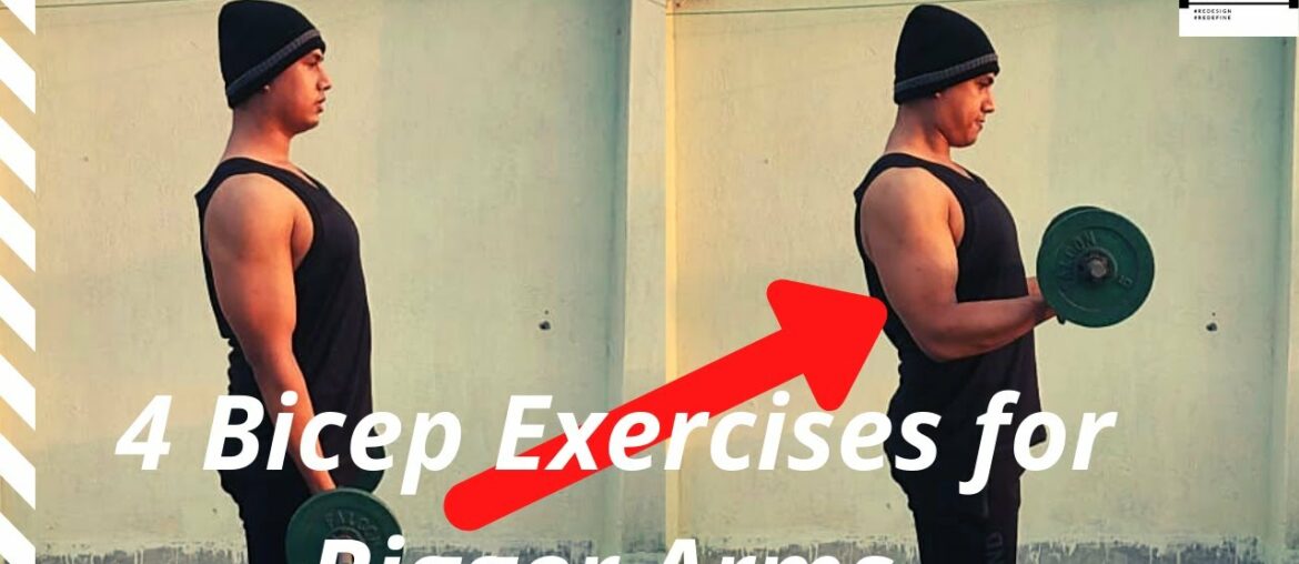 4 Bicep Exercise for Bigger Arms (Don't Skip These)