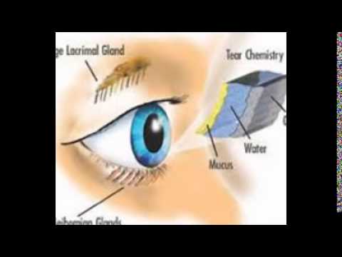 Vitamin A Supplements For Eyes