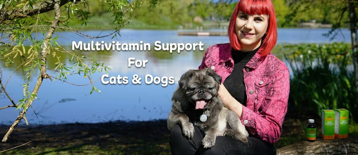 NHV Multi Essentials: Multivitamin Support For Cats & Dogs