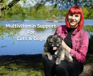 NHV Multi Essentials: Multivitamin Support For Cats & Dogs