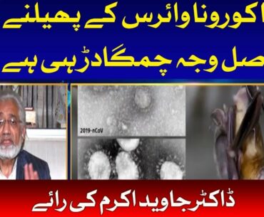 Are bats the real cause of coronavirus outbreaks? | Dr Javed Akram | Doctor Online