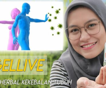 Kaya Akan Vitamin Anti Covid19 Nigellive Minyak Habbatussauda Plus Minyak Zaitun