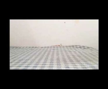 Cheapest multivitamin in India.{BECADEXMIN} available at every medical under 35 rupees.