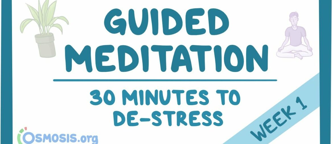 COVID-19 | Guided Meditation: 30 Minutes to De-Stress