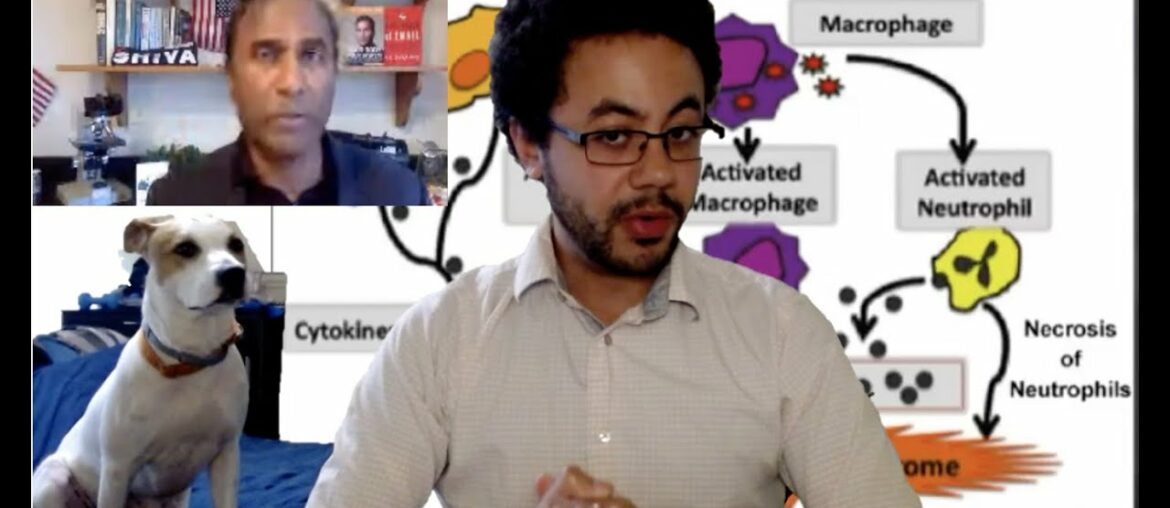 Vitamins vs. Vaccines - Dr. Shiva's bad science