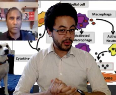 Vitamins vs. Vaccines - Dr. Shiva's bad science