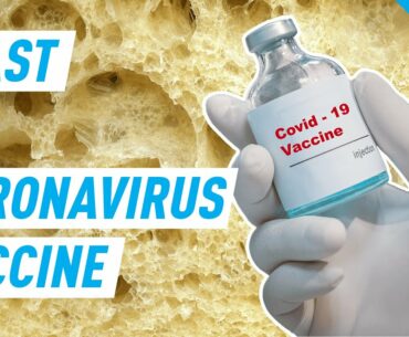 How Scientists Are Using Baker's Yeast to Develop a Coronavirus Vaccine | Mashable