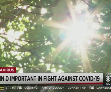 Vitamin D is key to a strong immune system