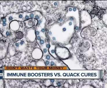 Immune boosters vs. quack cures