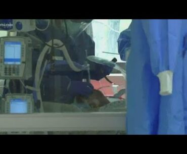 Vitamin D could be a factor in lowering coronavirus fatality risk, study says