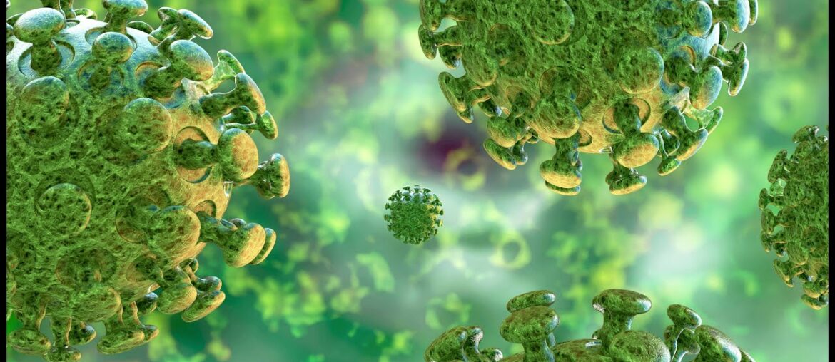 Do you have questions about COVID-19 (coronavirus)? Join us for a live discussion