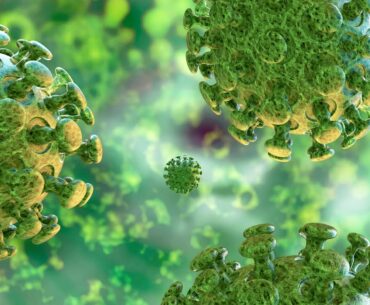 Do you have questions about COVID-19 (coronavirus)? Join us for a live discussion