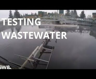 Early evening coronavirus updates in San Diego County (May 12, 5 p.m.)