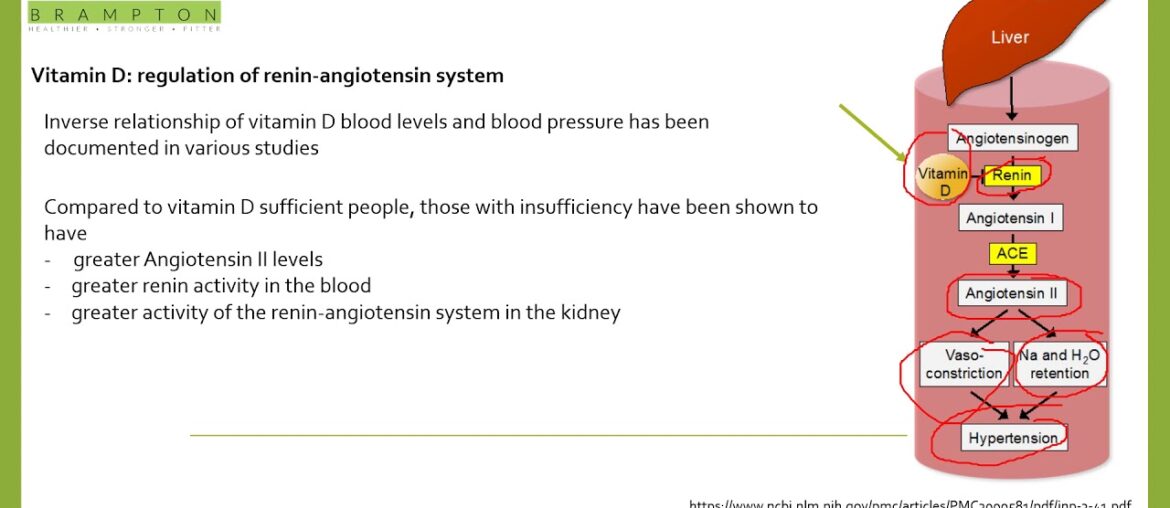 Vitamin D and Hypertension, Multiple Sclerosis and Covid-19
