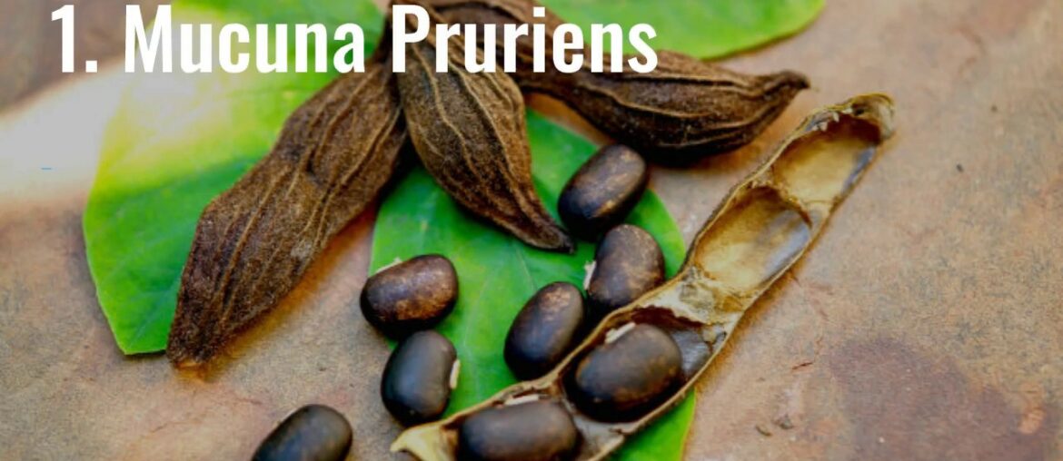 10 Best Beard Growth Supplements and Vitamins