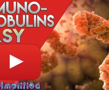 Immunoglobulins Structure and Function /Antibody Structure Types and Function