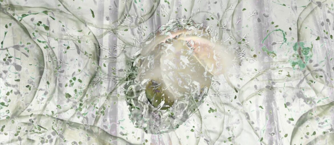 Meditation to help support immune system and healing from COVID19|Costas Picadas|Biophilia Breath 10