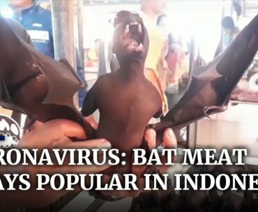 Bat meat remains popular in Indonesia despite coronavirus fears