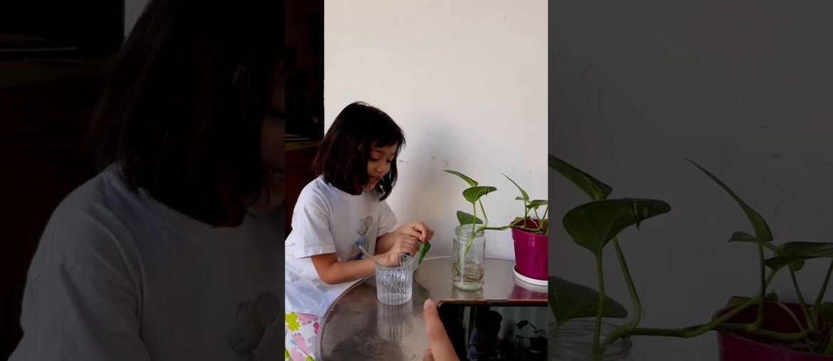 Barley is the Only Vegetation on Earth that can Supply Complete Food Nutrition from Birth up to Old