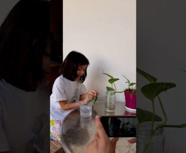 Barley is the Only Vegetation on Earth that can Supply Complete Food Nutrition from Birth up to Old