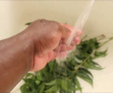 BOOSTING MY IMMUNITY AGAINST COVID19 ep. 2 NEEM TEA