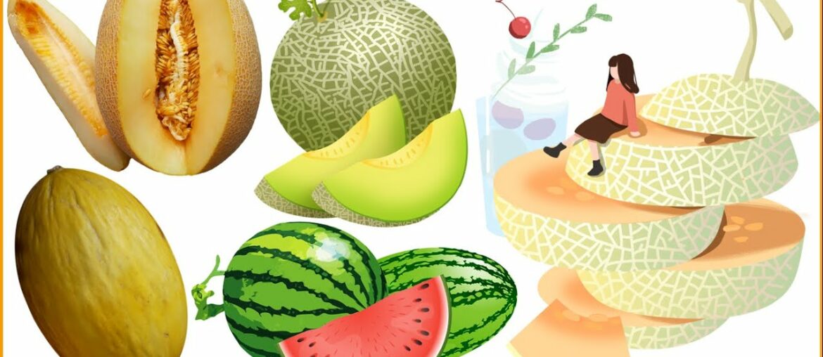 Are Melons Good for Trying to Lose Weight? | Top 3 Reasons Why Melons Help You Lose Weight