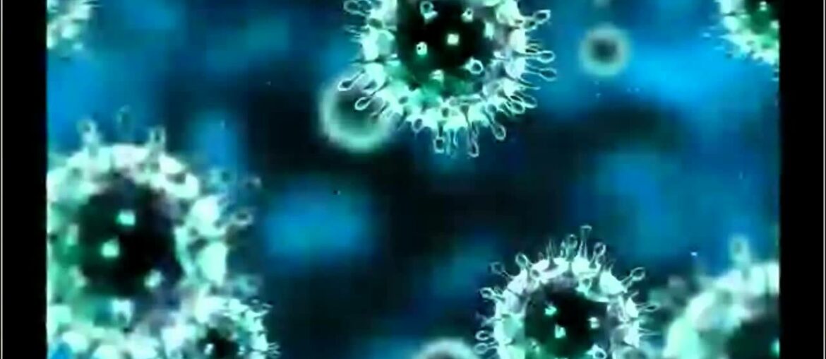 best supplements immune system  Airborne Immune Support Chewables