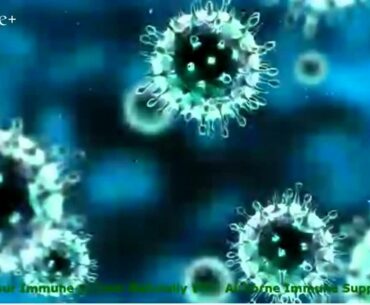 best supplements immune system  Airborne Immune Support Chewables