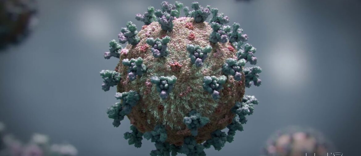 3D Animation: SARS-CoV-2 virus transmission leading to COVID-19