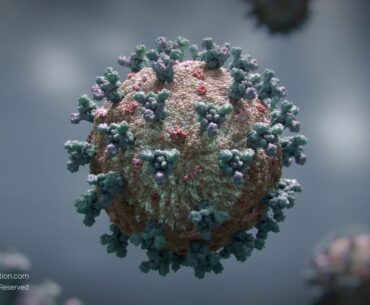 3D Animation: SARS-CoV-2 virus transmission leading to COVID-19