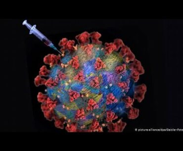 How Sunlight, the Immune System, and Covid-19 Interact