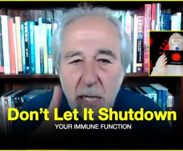 Dr Bruce Lipton - Immune system explained | COVID - 19 |