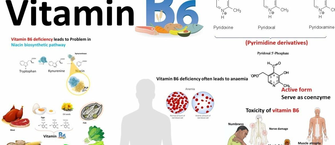 Vitamin B6 : structure,source and deficiency associated diseases