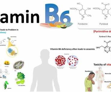 Vitamin B6 : structure,source and deficiency associated diseases