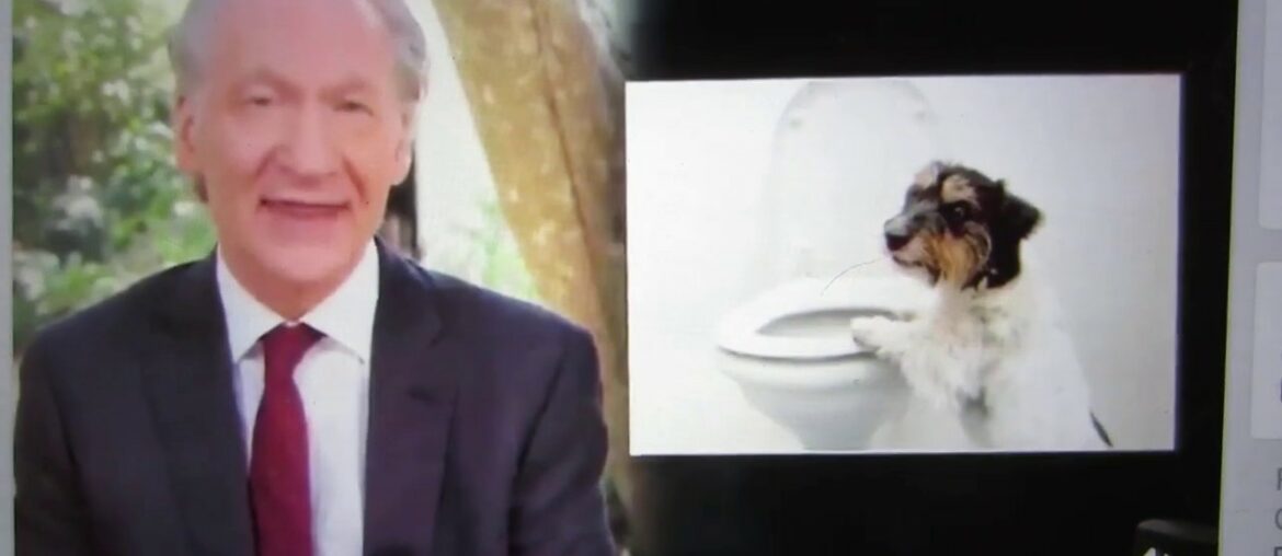 Bill Maher on COVID and the immune system