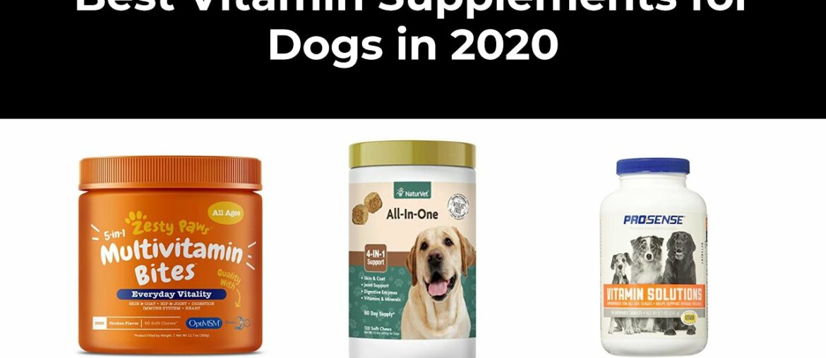 Best Vitamin Supplements for Dogs in 2020