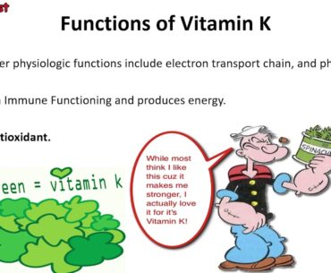 Vitamin K Functions