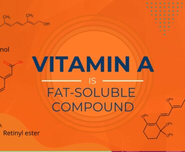 The importance of Vitamin A
