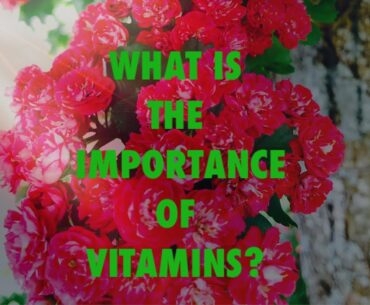 WHAT IS THE IMPORTANCE OF VITAMINS ?