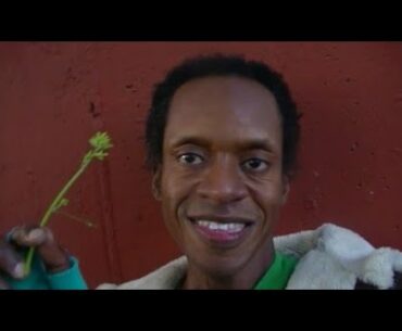 Boost Your Immune System for Covid 19 Virus - Spoken Word Poetry