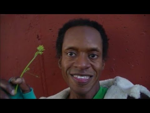 Boost Your Immune System for Covid 19 Virus - Spoken Word Poetry